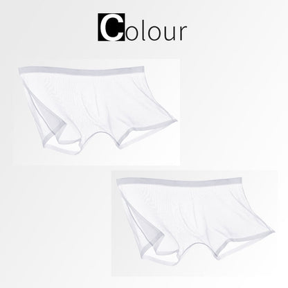 TRANSPARENTE ICE-MESH-BOXERSHORTS