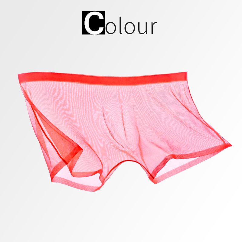 TRANSPARENTE ICE-MESH-BOXERSHORTS