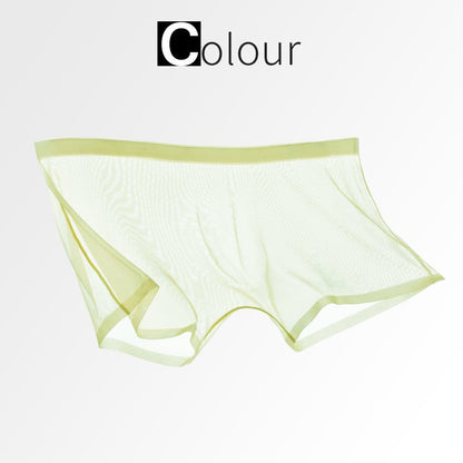 TRANSPARENTE ICE-MESH-BOXERSHORTS