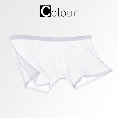 TRANSPARENTE ICE-MESH-BOXERSHORTS