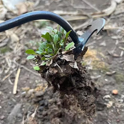 Gartenarbeit Unkraut Jäten Werkzeuge